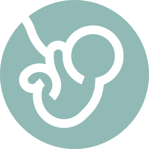 Pregnancy & Fertility Support