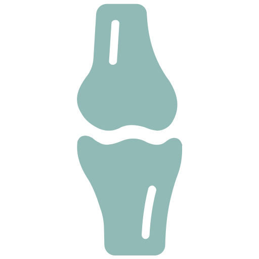 Joint, Bone & Muscle Health